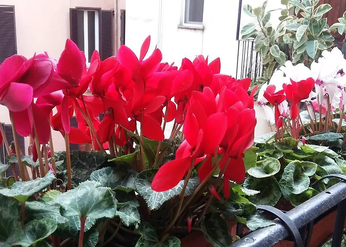 Appartamento Lilium House Aventino